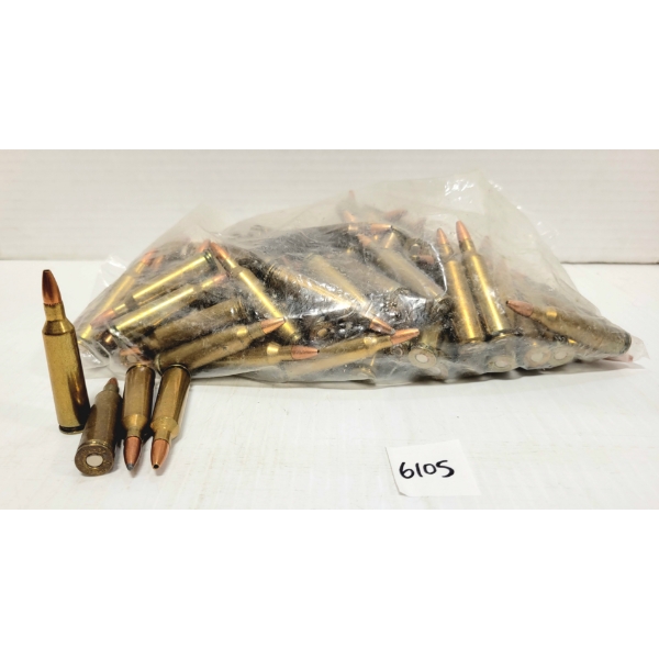 AMMO: 142X .22-250 REM MIXED - FACTORY 