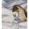 Image 2 : "GENTLE MOMENTS - HARP SEALS" BY CHRISTINE MARSHALL (PRS CDN ARTIST) - LITHO PRINT