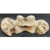 Image 3 : PELVIS - GAME BONE