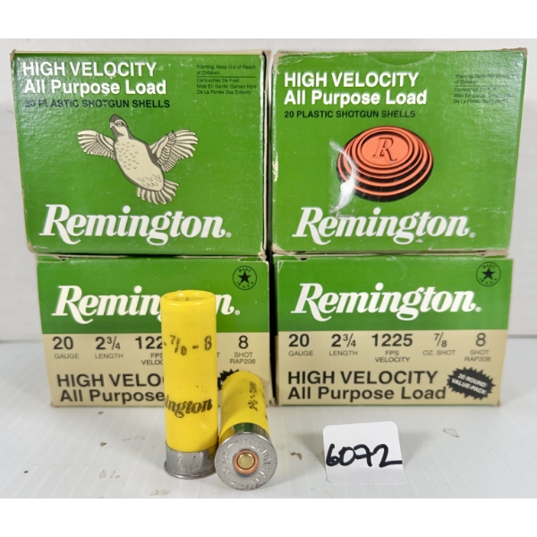 AMMO: 80X REMINGTON 20 GA 2-3/4 IN - #8