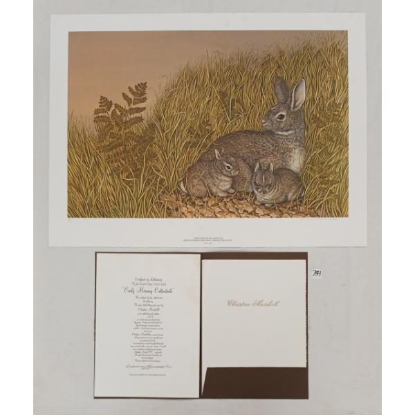 "EARLY MORNING COTTONTAILS" BY CHRISTINE MARSHALL (PRS CDN ARTIST) - PRINT