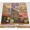 Image 1 : LOT OF 6 - 1991 HARDY BOYS NOVELS BY FRANKLIN W. DIXON - HARDCOVERS W/ DUST COVERS
