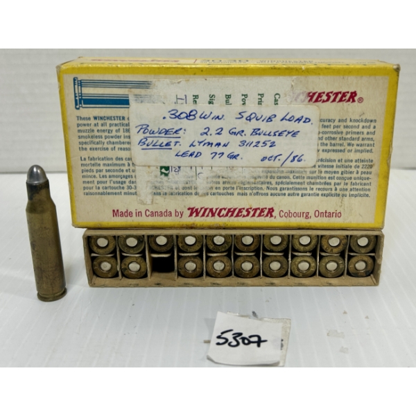 AMMO: 20X .308 WIN - RELOADS 