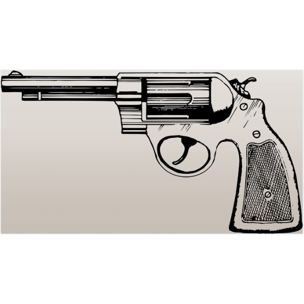 BID FOR PARTS OR DEACTIVATION - FRAME TURN-IN TO OPP