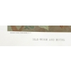 Image 5 : LOT OF 2 - "SILK-WORM & MOTHS" & "CICADAE, LANTERN FLY, ETC" - PAINTED LITHOGRAPH
