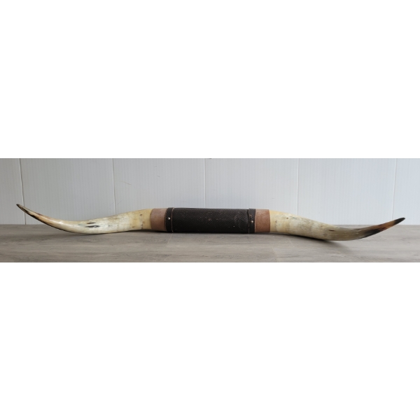 LONGHORN STEER MOUNT