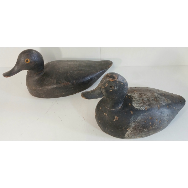 LOT OF 2 - GOLDEN EYED DECOY DUCKS 