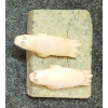 Image 7 : SEALS BY JUDAI (1922 - ?) - BONE & STONE