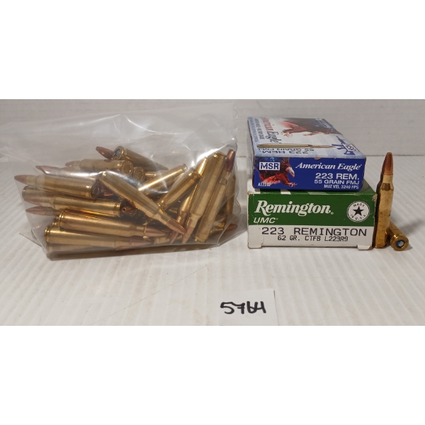 AMMO: 87X MIXED .223 REM - 55 & 62GR - FMJ, HP & CTFB