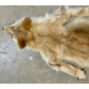 Image 2 : CINAMMON COYOTE FUR PELT