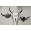Image 1 : LOT OF 3 - MOUNTED BULL HORNS & VIKING HELMET