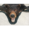 Image 1 : BLACK BEAR SKIN RUG