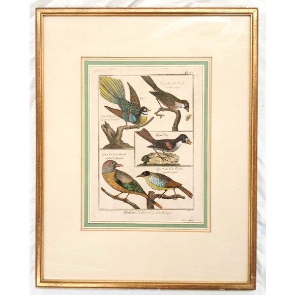 "HISTOIRE NATURELLE, ORNITHOLOGIE" BY JEAN-BAPTISTE OUDRY (1686 - 1755)