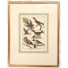 Image 1 : "HISTOIRE NATURELLE, ORNITHOLOGIE" BY JEAN-BAPTISTE OUDRY (1686 - 1755)