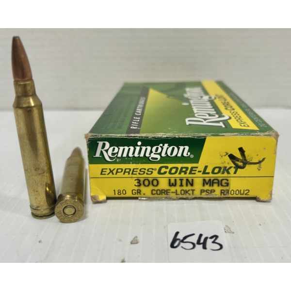 AMMO: 20X REMINGTON .300 WIN MAG - 180 GR SP
