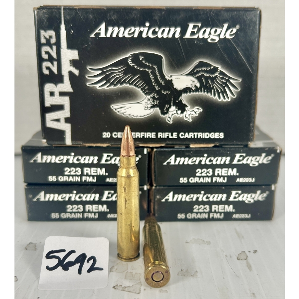 AMMO: 100X FEDERAL .223 REM - 55 GR FMJ