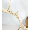 Image 6 : CARVED HANGING ANTLER BY JOHNNY JOANAS
