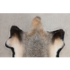 Image 5 : BADGER SKIN RUG