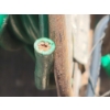 Image 4 : LOT OF 3 - WIRE SPOOLS 