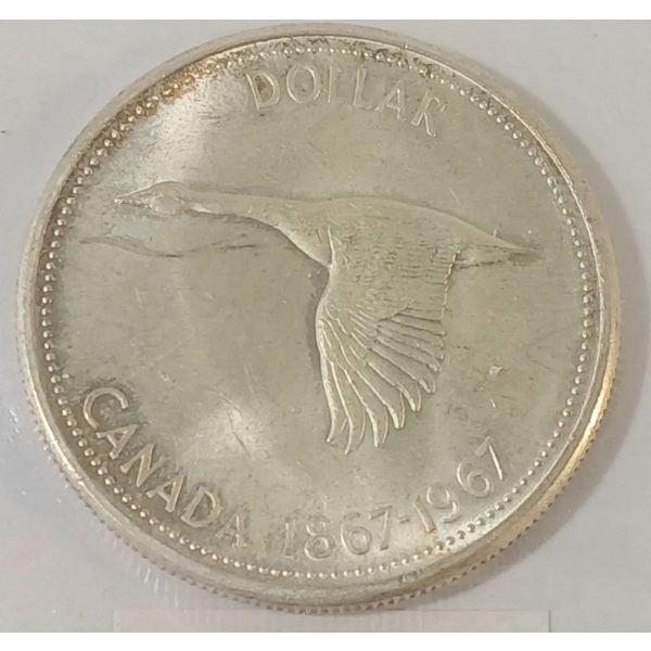 1967 CDN SILVER DOLLAR - CCCS GRADED