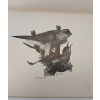 Image 7 : 1903 "A HERMIT'S WILD FRIENDS" BY MASON A. WALTON - HARDCOVER BOOK