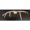Image 6 : "MONTAGE" BY PAULOOSIE AKULUKJUK - ANTLER 