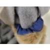 Image 5 : PAIR OF RING SEALSKIN MUKLUKS W/ LINERS BY LEAH QAKASILK