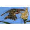 Image 3 : HUMMINGBIRD MOTIF STAINED GLASS HANGING