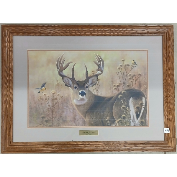 "FEEDING IN THE THISTLES" BY HAYDEN LAMBSON - FRAMED PRINT