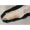 Image 6 : TIMBER WOLF SKIN RUG