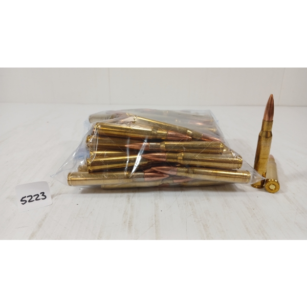 AMMO: 64X PPU .30-06 - FMJ