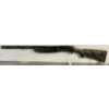 Image 1 : UNKNOWN SINGLE SHOT IN 10 GA 