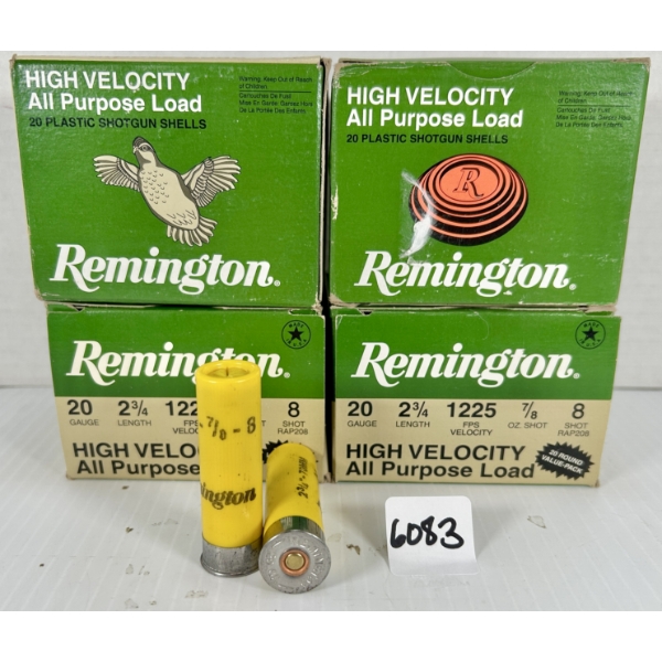 AMMO: 80X REMINGTON 20 GA 2-3/4 IN - #8