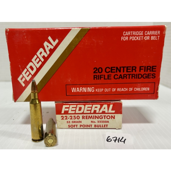 AMMO: 40X FEDERAL .22-250 REM - 55 GR SP
