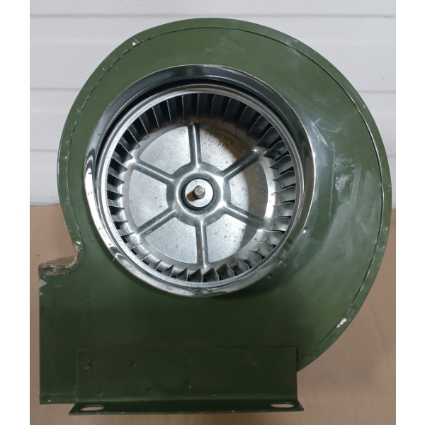 6IN SQUIRREL FAN