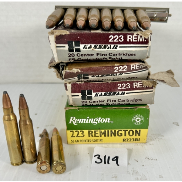 AMMO: 99X REM & CONCORDE .223 REM - 55 GR SP
