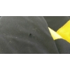Image 7 : LOT OF 2 - RCMP OFFICERS PANTS