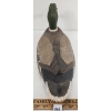 Image 5 : MALLARD DECOY BY CHARLIE BUCHANAN