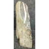 Image 6 : WOMAN'S FACE - SIGNED - STONE