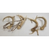 Image 2 : LOT OF 2 - PAIRS OF DEER ANTLER SHEDS