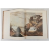 Image 6 : 1966 "THE ORIGINAL WATER-COLOR PAINTINGS BY JOHN JAMES AUDUBON" - HARDCOVER PUBLICATIONS