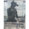 Image 5 : LOT OF 11 - COLT FIREARM POSTERS, DECALS, PIN & PATCH