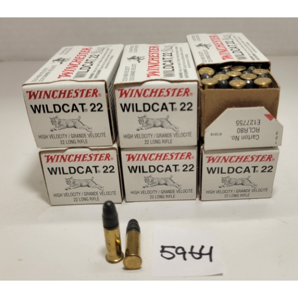 AMMO: 300X WINCHESTER WILDCAT .22 LR - 40GR