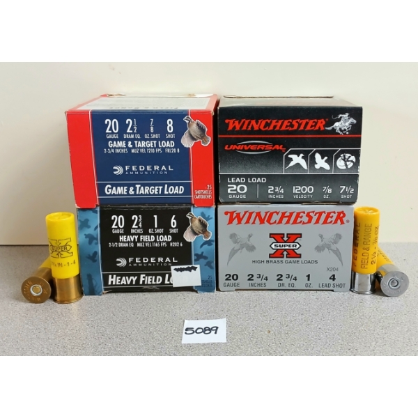 AMMO: 100X WINCHESTER & FEDERAL 20GA - 2 3/4IN 