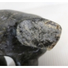 Image 9 : TRANSFORMING SEAL - SIGNED - STONE