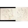 Image 1 : LOT OF 2 - NUDY STUDIES BY MIVOLA (20TH CENTURY ARTIST) - GRAPHITE & OIL PASTEL ON PAPER