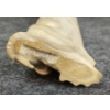Image 6 : ANIMAL CARVINGS - SIGNED - BONE