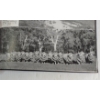 Image 6 : 1945 "DISPLAYING AUSTRALIA AND NEW GUINEA" BY THE AUSTRALIA STORY TRUST - HARDCOVER