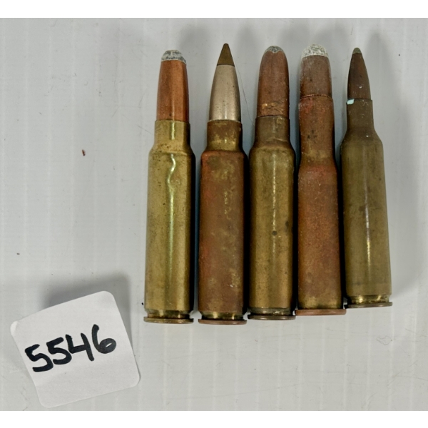 AMMO: 5X SAVAGE CARTRIDGES