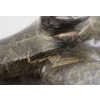 Image 10 : MUSKOX - SIGNED - STONE